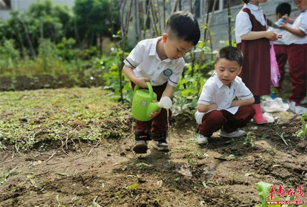 图片 6.jpg 图片 6.jpg