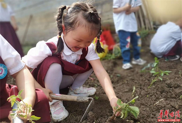 图片 5.jpg 图片 5.jpg