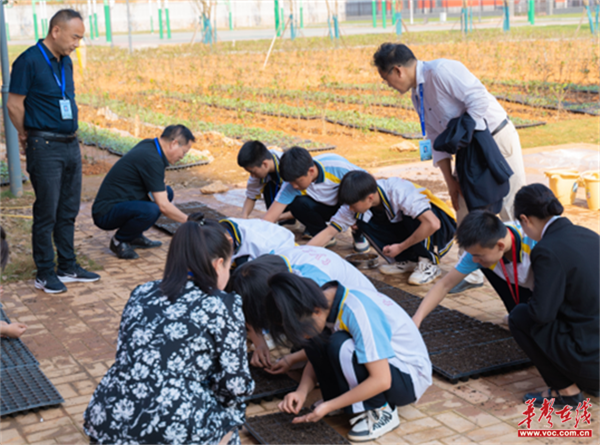 图片 14.png 图片 14.png