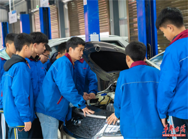 图片 20.png 图片 20.png