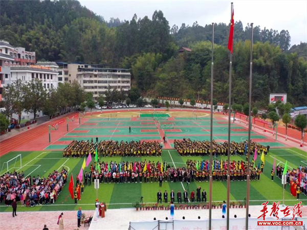 图片1.png 图片1.png