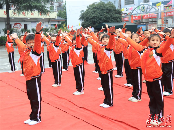 图片 4.png