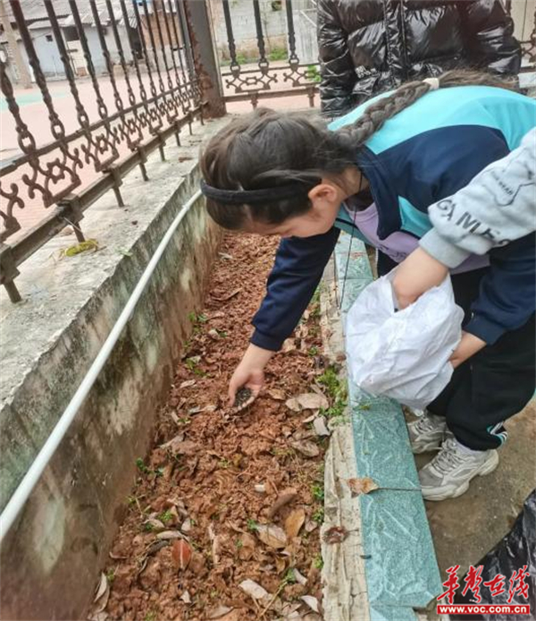 图片 2.jpg 图片 2.jpg