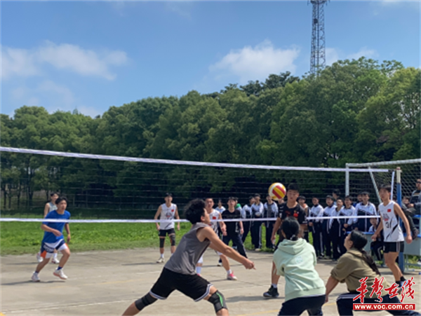 安乡五中春季排球运动会火热进行中