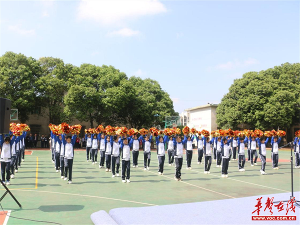 图片 10.png