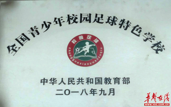 图片 11.jpg