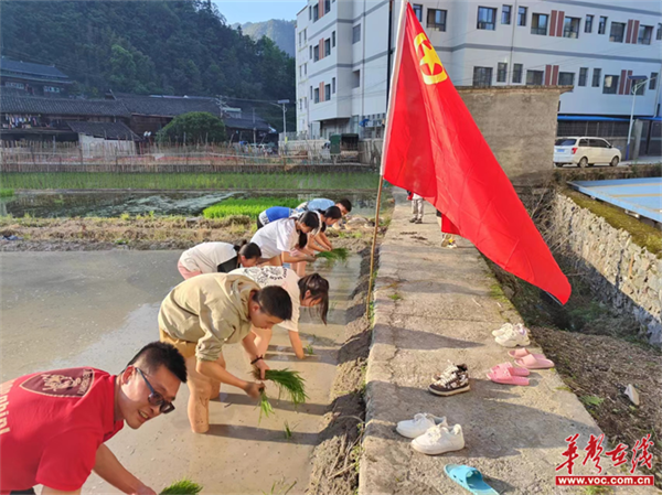 图片 5.png
