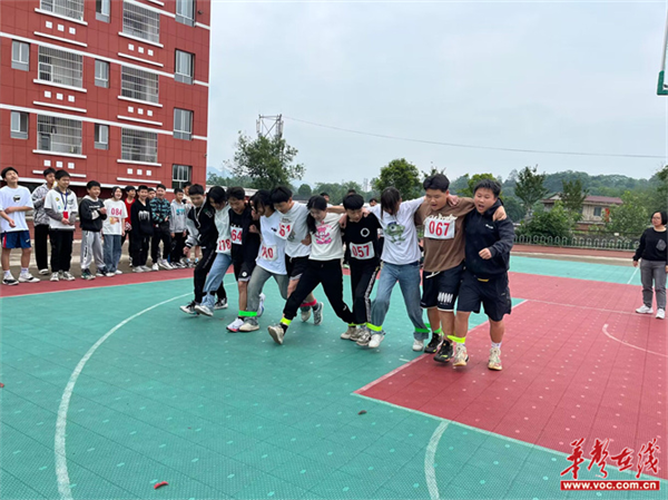 图片 3.png