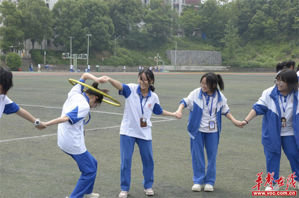 图片 4.jpg