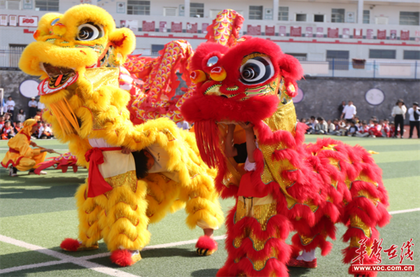 图片 3.png