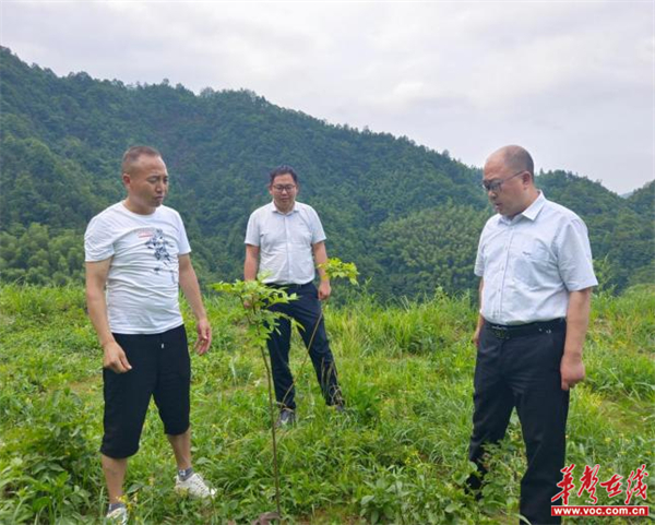 图片 1.jpg