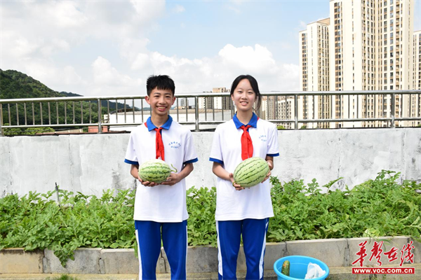 图片 4.png 图片 4.png