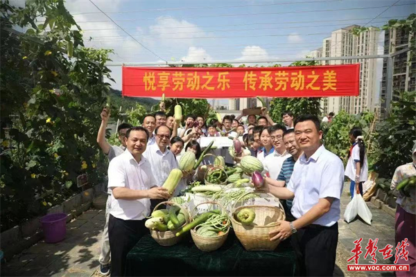 图片 5.png 图片 5.png