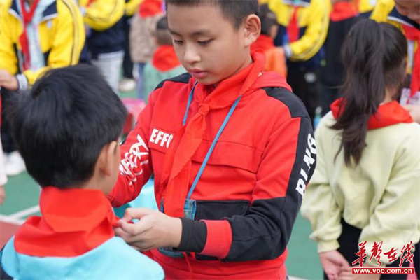 图片 2.png 图片 2.png