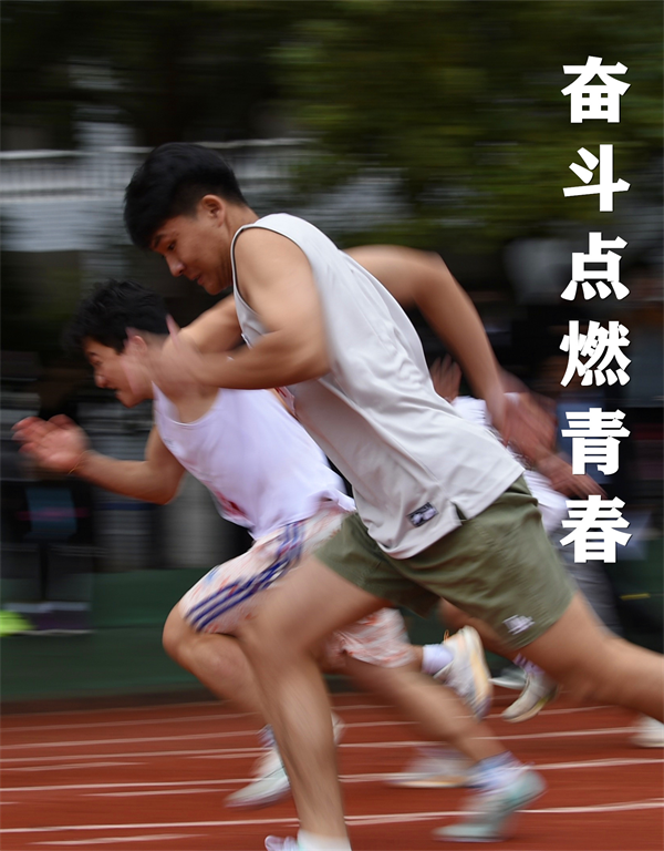 图片 3.png
