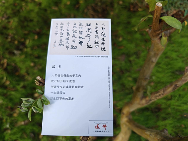 图片 3.png