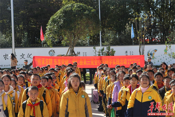 图片 1.jpg