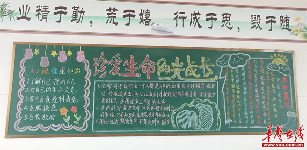 图片 4.png