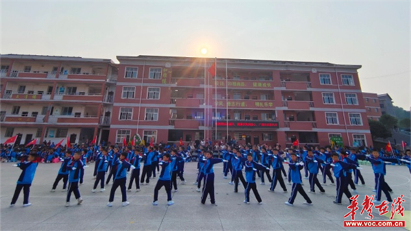 图片 1.jpg