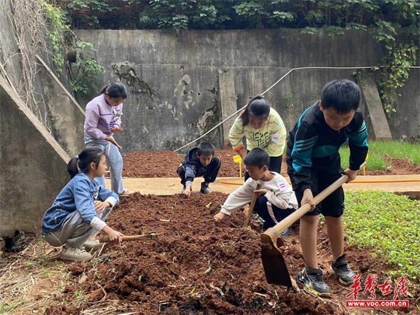 荷塘区：五育之花并蒂开 素质教育结硕果