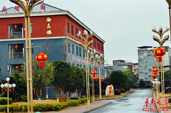 图片 1.png 图片 1.png