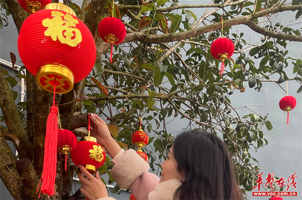 图片 2.png 图片 2.png