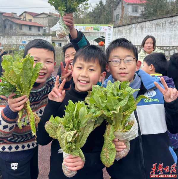 图片 1.png