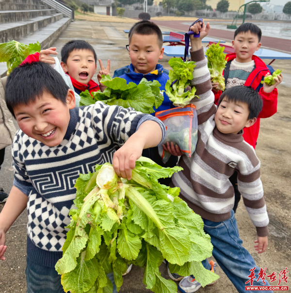 图片 2.png
