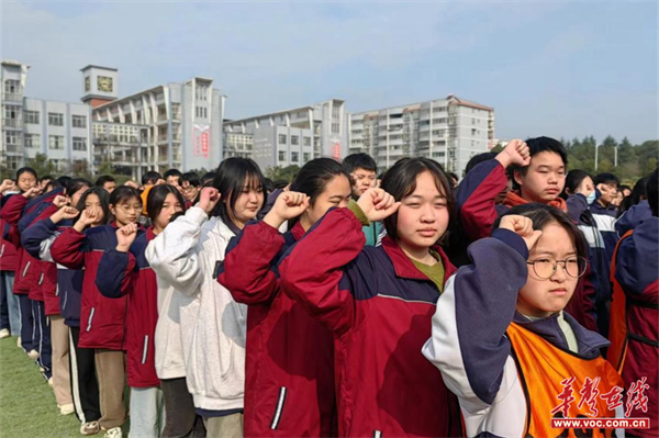 图片 4.png