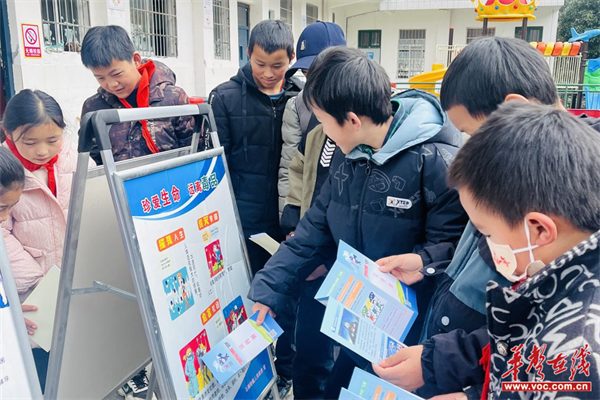 图片 1.png