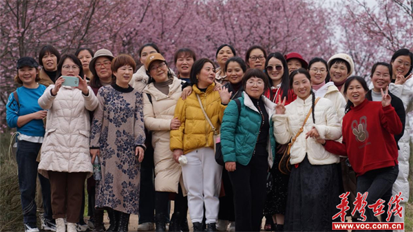 图片 1.jpg