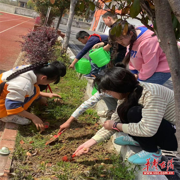 图片 3.jpg
