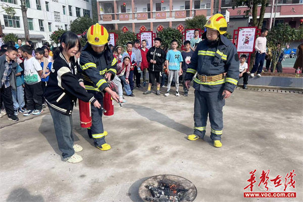图片 4.jpg
