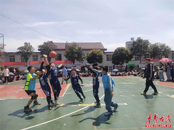 图片6.png 图片6.png