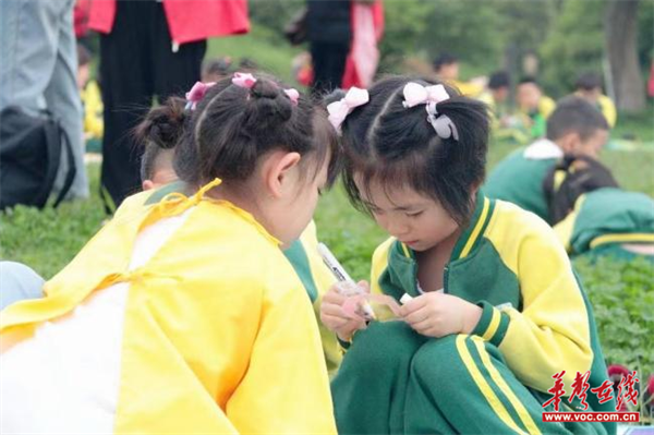 图片 3.png 图片 3.png