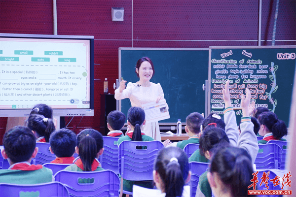 图片 6.png