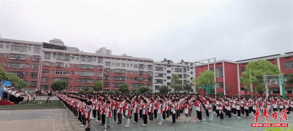 图片 1.png