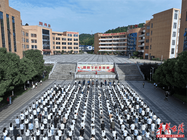 图片 1.png