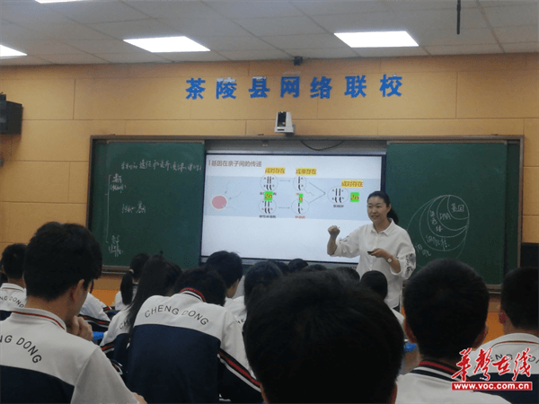 图片 2.png