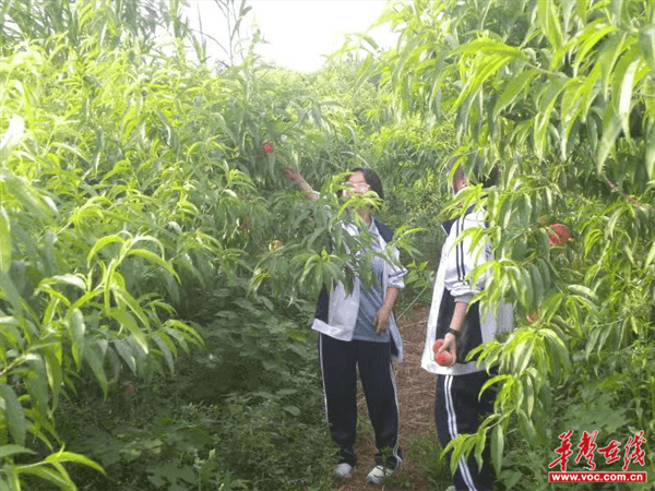 图片 2.png 图片 2.png