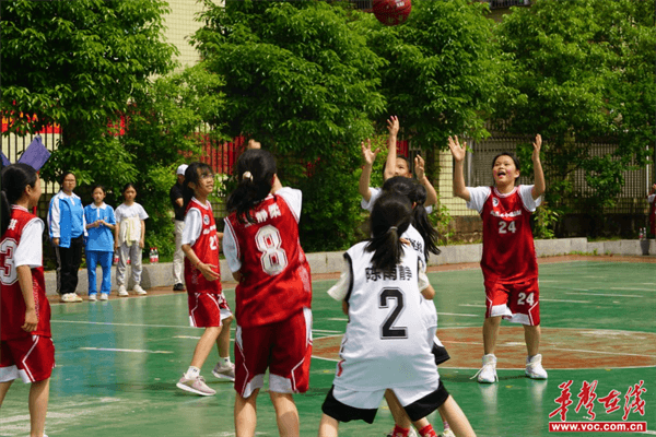 图片 7.png 图片 7.png