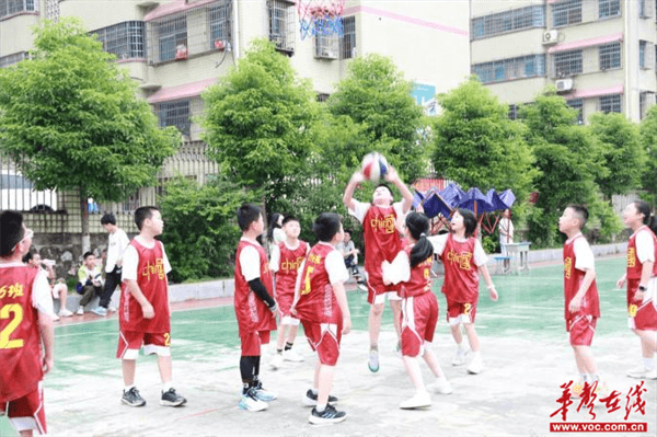 图片 4.png 图片 4.png