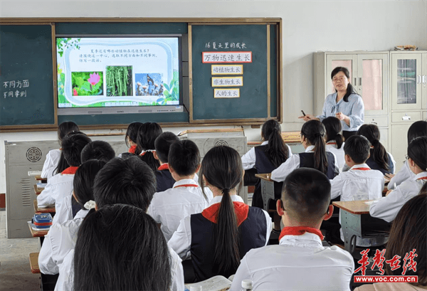 图片 2.png