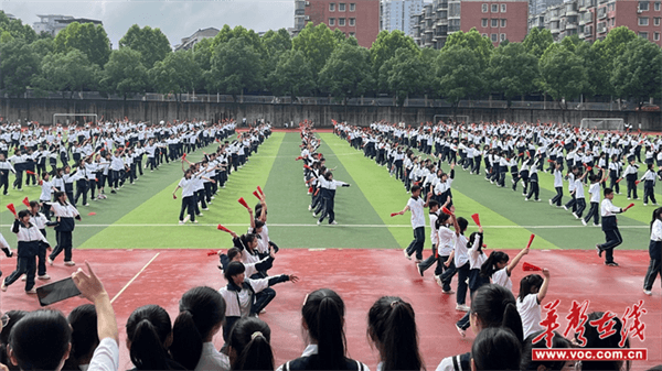 图片 2.png