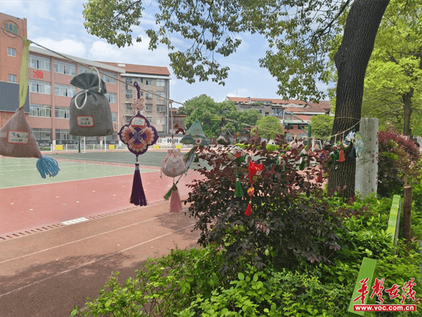 图片 3.png 图片 3.png