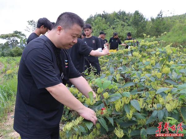 微信图片_20240716094956.jpg