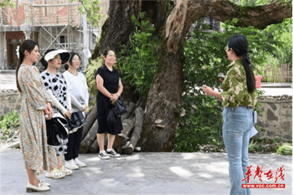 图片 1.png 图片 1.png