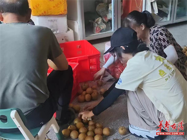图片 4.png 图片 4.png