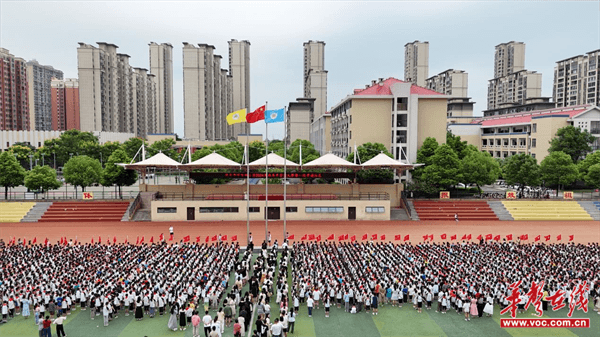 图片 4.png