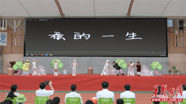 图片 2.png